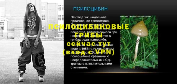 Альфа ПВП Баксан