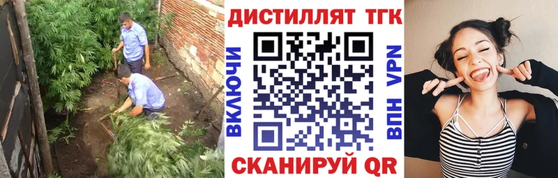 kraken зеркало  Горбатов  ТГК вейп с тгк 