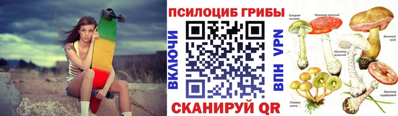 сколько стоит  Горбатов  Псилоцибиновые грибы ЛСД 